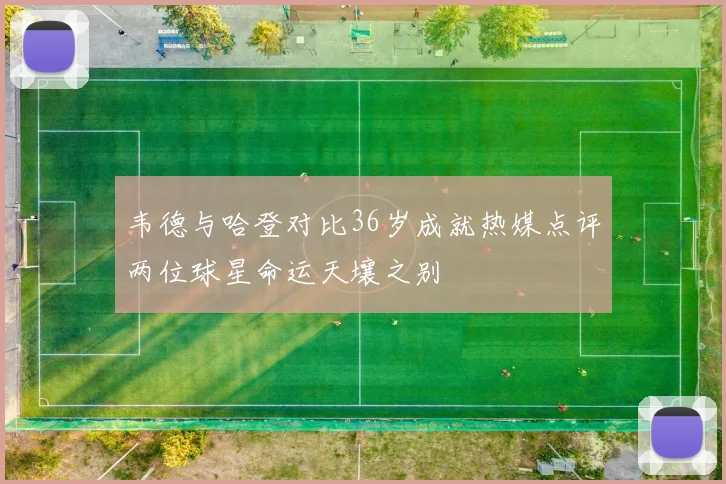 韦德与哈登对比36岁成就热媒点评两位球星命运天壤之别